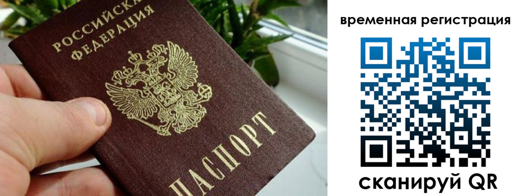 прописка поиск в Саратовской области